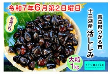 [令和7年6月第2日曜日配達] さとうしじみ屋の十三湖産活しじみ(大粒1kg)[冷蔵]｜十三湖産 青森 津軽 つがる しじみ みそ汁 味噌汁 しじみ汁 活しじみ 冷蔵 [0812]