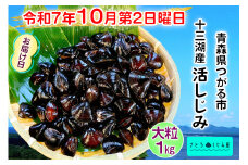 [令和7年10月第2日曜日配達] さとうしじみ屋の十三湖産活しじみ(大粒1kg)[冷蔵]｜十三湖産 青森 津軽 つがる しじみ みそ汁 味噌汁 しじみ汁 活しじみ 冷蔵 [0816]