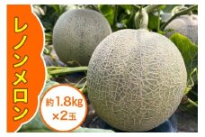 レノン メロン 約1.8kg×2玉｜2025年 令和7年 青森 津軽 つがる産 レノン メロン めろん 特産 ジューシー 糖度 フルーツ 果物 ギフト 産直 赤肉メロン 夏メロン [0859]