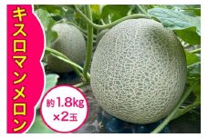 キスロマン メロン 約1.8kg×2玉｜2025年 令和7年 青森 津軽 つがる産 キスロマン キスミー めろん キスミーメロン 特産 ジューシー 糖度 フルーツ 果物 ギフト 産直 青肉メロン 夏メロン [0862]