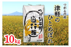 令和7年産 つがる市産「津軽のひとめぼれ」10kg｜2025年産 青森県 津軽 お米 白米 米 コメ こめ ひとめぼれ 精米 新米 [0894]