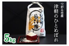 令和7年産 つがる市産「津軽のひとめぼれ」5kg｜2025年産 青森県 津軽 お米 白米 米 コメ こめ ひとめぼれ 精米 新米 [0896]