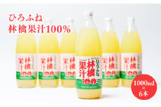 ひろふね林檎果汁100％（ブレンド1L×6本入り）【飲料類・果汁飲料・りんご・ジュース・果物類・林檎・リンゴ】 
