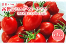 ≪7月以降順次発送≫ 高糖度 ミニトマト [アイコ] 約1kg トマト とまと プチトマト 高品質 野菜 やさい 減農薬 お取り寄せ 青森県 平川市 平川 