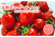 ≪7月以降順次発送≫ 高糖度 ミニトマト [アイコ] 約1kg トマト とまと プチトマト 高品質 野菜 やさい 減農薬 お取り寄せ 青森県 平川市 平川 