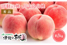 ≪8月下旬～9月中旬発送予定≫ 津軽の桃 川中島白桃 約3kg  秀品 フルーツ 果物 桃 もも モモ 白桃 ピーチ 青森県 平川市 平川市産 川中島 光センサー 贈答 お取り寄せ デザート 先行予約