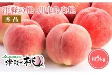 ≪8月下旬～9月中旬発送予定≫ 津軽の桃 川中島白桃 約5kg 秀品 フルーツ 果物 桃 もも モモ 白桃 ピーチ 青森県 平川市 平川市産 川中島 光センサー 贈答 お取り寄せ デザート 先行予約