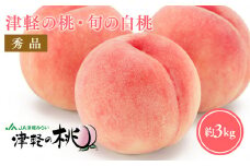 ≪8月中旬～8月下旬発送予定≫津軽の桃 旬の白桃 約3kg 秀品 フルーツ 果物 桃 もも モモ 白桃 ピーチ 青森県 平川市 平川市産 光センサー 贈答 お取り寄せ デザート 先行予約 旬