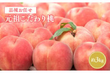 ≪8月中旬～9月発送予定≫  品種おまかせ 元祖こだわり桃 約3kg 【青森県 平川市 きむら果樹園】 フルーツ 果物 桃 もも モモ 白桃 ピーチ はくとう 平川市産 お取り寄せ 先行予約 旬 おまかせ 