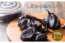 しあわせj-Farm しあわせ黒にんにく 100g×2パック にんにく 黒ニンニク 無添加 添加物不使用 加工食品 野菜 熟成 発酵 高糖度 ドライフルーツ マイルド 抗酸化作用 ポリフェノール  健康維持 アミノ酸 健康  しあわせj-Farm 青森県 平川市 平川