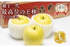 【11月・12月発送】  親子三代最高位の王林 約3kg【全国ふじコンテスト最高賞受賞農園 青森県 平川市 釈迦のりんご園】王林 全国ふじコンテスト最高賞受賞 青森りんご 平川市広船産 家庭用 リンゴ りんご リンゴ 林檎 フルーツ 果物 平川市 青森 