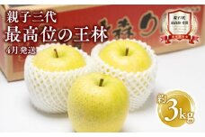 【4月発送】親子三代最高位の王林 約3kg【全国ふじコンテスト最高賞受賞農園 青森県 平川市 釈迦のりんご園】王林 全国ふじコンテスト最高賞受賞 青森りんご 平川市広船産 家庭用 リンゴ りんご リンゴ 林檎 フルーツ 果物 平川市 青森 