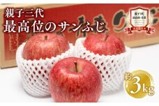 【1月発送】 親子三代最高位のサンふじ 約3kg【全国ふじコンテスト最高賞受賞農園 青森県 平川市 釈迦のりんご園】全国ふじコンテスト最高賞受賞 青森りんご 平川市広船産 家庭用 リンゴ りんご リンゴ 林檎 フルーツ 果物 サンふじ ふじ フジ 平川市 青森 