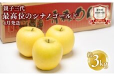 【4月発送】  親子三代最高位のシナノゴールド約3kg スマートフレッシュ貯蔵 【全国ふじコンテスト最高賞受賞農園 青森県 平川市 釈迦のりんご園】シナノゴールド 全国ふじコンテスト最高賞受賞 青森りんご 家庭用 リンゴ りんご リンゴ 林檎 フルーツ 果物 