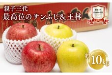 【12月発送】親子三代最高位の贈答用サンふじ・王林約10kg【全国ふじコンテスト最高賞受賞農園 青森県 平川市 釈迦のりんご園】ふじ サンふじ 王林 全国ふじコンテスト最高賞受賞 青森りんご 平川市広船産 贈答 リンゴ りんご リンゴ 林檎 フルーツ 果物 平川市 青森 