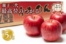 【9月発送】 親子三代最高位のつがる約5kg【全国ふじコンテスト最高賞受賞農園・平川市広船産りんご】青森りんご 平川市広船産 家庭用 リンゴ りんご リンゴ 林檎 フルーツ 果物 サンふじ ふじ フジ 平川市 青森 