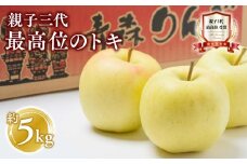 【10月発送】親子三代最高位のトキ約5kg【全国ふじコンテスト最高賞受賞農園 青森県 平川市 釈迦のりんご園】トキ  全国ふじコンテスト最高賞受賞 青森りんご 平川市広船産 家庭用 リンゴ りんご リンゴ 林檎 フルーツ 果物 平川市 青森 