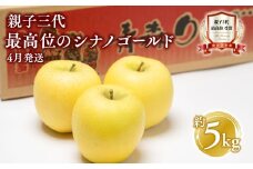 【4月発送】  親子三代最高位のシナノゴールド約5kg【全国ふじコンテスト最高賞受賞農園・平川市広船産りんご・スマートフレッシュ貯蔵】シナノゴールド 全国ふじコンテスト最高賞受賞 青森りんご 家庭用 リンゴ りんご リンゴ 林檎 フルーツ 果物 