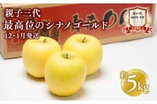 【12月・1月発送】 親子三代最高位のシナノゴールド約5kg【全国ふじコンテスト最高賞受賞農園 青森県 平川市 釈迦のりんご園】シナノゴールド 全国ふじコンテスト最高賞受賞 青森りんご 家庭用 リンゴ りんご リンゴ 林檎 フルーツ 果物 平川市 青森 