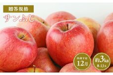 ≪令和7年産先行受付≫12月発送! 贈答規格サンふじ約3kg【青森県 平川市 山内ファーム】 平川市産 青森りんご りんご リンゴ 林檎 ふじ 贈答 贈答品 お取り寄せ 先行予約 果物 くだもの フルーツ 