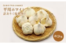 2025年産　出荷予定：7月下旬～2/28【青森県平川市小和森産】平川ホワイト 訳あり（規格外）約1kg  ホワイト六片種 ホワイト6片種 にんにく ニンニク ガーリック 青森県 平川市 小和森産 小山内組 野菜 白にんにく 白ニンニク 規格外 わけあり ワケあり ワケアリ 不揃い 不揃い品 平川市産