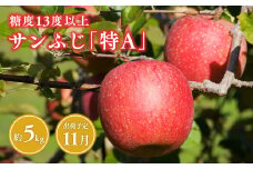 11月  サンふじ約5kg 糖度13度以上(14～20玉程度）【青森県 平川市 森山商店 】 平川市産 青森りんご 林檎 リンゴ りんご サンふじ ふじ 光センサー 選果 平川市 青森県 