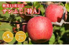 2月  サンふじ約5kg 糖度13度以上(14～20玉程度） 【青森県 平川市 森山商店 】 平川市産 青森りんご 林檎 リンゴ りんご サンふじ ふじ 光センサー 選果 平川市 青森県 