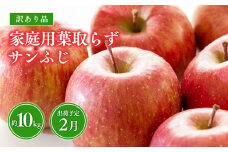 2月 葉取らずサンふじりんご 約10kg 訳あり 家庭用【青森県 平川市 森山商店 】平川市産 青森りんご 林檎 リンゴ サンふじ ふじ 葉とらず 訳あり 訳アリ 家庭用 平川市 青森県 