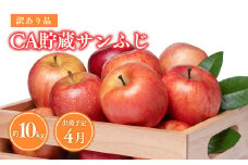 4月CA貯蔵 サンふじ 約10kg 訳あり 家庭用【青森県 平川市 森山商店 】4月発送 家庭用 りんご リンゴ 林檎 フルーツ 平川 青森りんご サンふじ ふじ 葉とらず 家庭用 