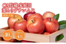 4月CA貯蔵 家庭用 葉とらずサンふじ 約10kg 訳あり 家庭用【青森県 平川市 森山商店 】4月発送 家庭用 りんご リンゴ 林檎 フルーツ 平川 青森りんご サンふじ ふじ 葉とらず 家庭用 