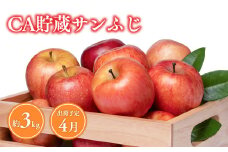 4月 CA貯蔵サンふじ 約3kg【青森県 平川市 森山商店 】平川市産 青森りんご 4月 林檎 リンゴ サンふじ ふじ 葉とらず 平川市 青森県 