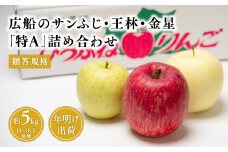 ≪年明け発送≫青森県産 贈答規格 広船のサンふじ・王林・金星 約5kg 詰合せ「特A」【青森県 平川市 広船アップルクラブ】サンふじ ふじ 王林 金星 広船 青森 青森県 平川 りんご リンゴ 林檎 くだもの 果物 フルーツ