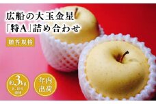 ≪年内発送≫青森県産 贈答規格 広船の大玉金星 約3kg「特A」【青森県 平川市 広船アップルクラブ】贈答 大玉 金星 広船 年内 青森 青森県 平川 りんご リンゴ 林檎 くだもの 果物 フルーツ 