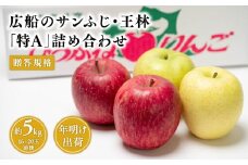 ≪年明け発送≫青森県産 贈答用 広船のサンふじ・王林詰合せ 約5kg 特A【青森県 平川市 広船アップルクラブ】贈答 サンふじ ふじ 王林 広船 年内 青森 青森県産 平川 りんご リンゴ 林檎 くだもの 果物 フルーツ 