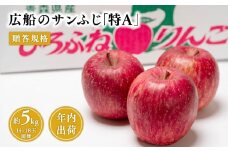 青森県産 贈答規格 広船のサンふじ 「特A」約5kg【青森県 平川市 広船アップルクラブ】サンふじ ふじ 広船 年内 青森 青森県産 平川 りんご リンゴ 林檎 くだもの 果物 フルーツ 