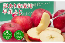 10月発送 【訳あり】家庭用早生ふじ 約5kg 【青森県 平川市 那由多のりんご園】家庭用 10月発送 青森 青森県産 平川 りんご リンゴ 林檎 くだもの 果物 フルーツ 