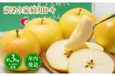 年内発送 【訳あり】家庭用 トキ 約3kg【青森県 平川市 那由多のりんご園】家庭用 青森 青森県産 平川 りんご リンゴ 林檎 くだもの 果物 フルーツ 