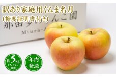 年内発送 【訳あり】家庭用ぐんま名月約5㎏（糖度証明書付き）【青森県 平川市 那由多のりんご園】家庭用  青森 青森県産 平川 りんご リンゴ 林檎 くだもの 果物 フルーツ 名月 
