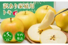 年内発送 【訳あり】家庭用 トキ 約5kg【青森県 平川市 那由多のりんご園】家庭用 青森 青森県産 平川 りんご リンゴ 林檎 くだもの 果物 フルーツ 