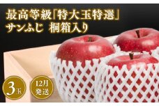 12月発送 最高等級「特大玉特選」サンふじ 3玉 桐箱入【青森県 平川市 那由多のりんご園】12月発送 青森 青森県産 平川 りんご リンゴ 林檎 くだもの 果物 ふじ 詰め合わせ フルーツ 