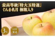 12月発送 最高等級「特大玉特選」ぐんま名月 3玉 桐箱入【青森県 平川市 那由多のりんご園】12月発送 青森 青森県産 平川 りんご リンゴ 林檎 くだもの 果物 名月 詰め合わせ フルーツ 