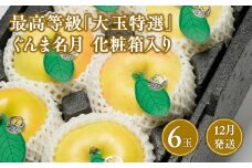 12月 最高等級「大玉特選」ぐんま名月 6玉 化粧箱入【青森県 平川市 那由多のりんご園】12月発送 青森 青森県産 平川 りんご リンゴ 林檎 くだもの 果物 名月 フルーツ 