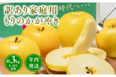 年内発送【訳あり】家庭用 もりのかがやき 約3kg【青森県 平川市 那由多のりんご園】希少品種 家庭用 青森 青森県産 平川 りんご リンゴ 林檎 くだもの 果物 フルーツ 