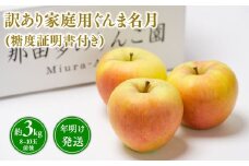 年明け発送 【訳あり】家庭用ぐんま名月約3㎏（糖度証明書付き）【青森県 平川市 那由多のりんご園】家庭用  青森 青森県産 平川 りんご リンゴ 林檎 くだもの 果物 フルーツ 名月 