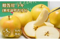 【10~12月発送】 贈答用トキ約5kg（糖度証明書付き）　【青森県 平川市 那由多のりんご園】贈答 青森 青森県産 平川 りんご リンゴ 林檎 くだもの 果物 フルーツ 