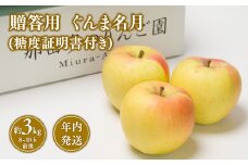 【11~12月発送】 贈答用ぐんま名月約3kg（糖度証明書付き） 【青森県 平川市 那由多のりんご園】贈答 青森 青森県産 平川 りんご リンゴ 林檎 くだもの 果物 フルーツ 名月 