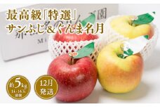 １２月発送 最高級「特選」サンふじとぐんま名月詰合せ約5kg（糖度証明書付き） 【青森県 平川市 那由多のりんご園】１２月発送 青森 青森県産 平川 りんご リンゴ 林檎 くだもの 果物 ふじ ぐんま名月 詰め合わせ フルーツ