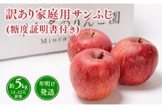 年明け発送 【訳あり】家庭用サンふじ約5kg（糖度証明書付き） 【青森県 平川市 那由多のりんご園】家庭用 青森 青森県産 平川 りんご リンゴ 林檎 くだもの 果物 フルーツ ふじ 