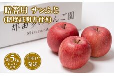 【1~2月発送 】 贈答用サンふじ約5kg（糖度証明書付き）  【青森県 平川市 那由多のりんご園】贈答 青森 青森県産 平川 りんご リンゴ 林檎 くだもの 果物 フルーツ 