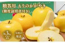 年明け発送 贈答用もりのかがやき約3kg（糖度証明書付き)　【那由多のりんご園・平川市産】【青森県 平川市 那由多のりんご園】贈答 青森 青森県産 平川 りんご リンゴ 林檎 くだもの 果物 フルーツ 